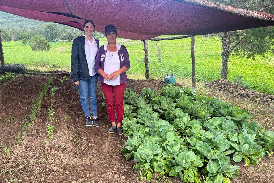 Programa de extensionismo de la Sagarhpa forma cooperativas en zonas marginadas de Sonora